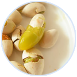 Z6�������й��ٷ���վ